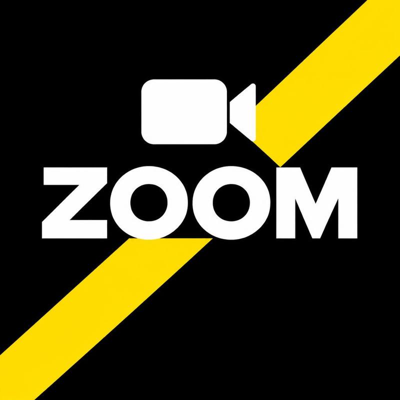 Zoom - 3 months (100 people)